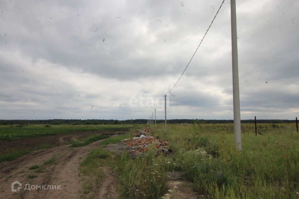 земля р-н Тюменский тер ДНТ Воскресенье 1 ул Светлая фото 6