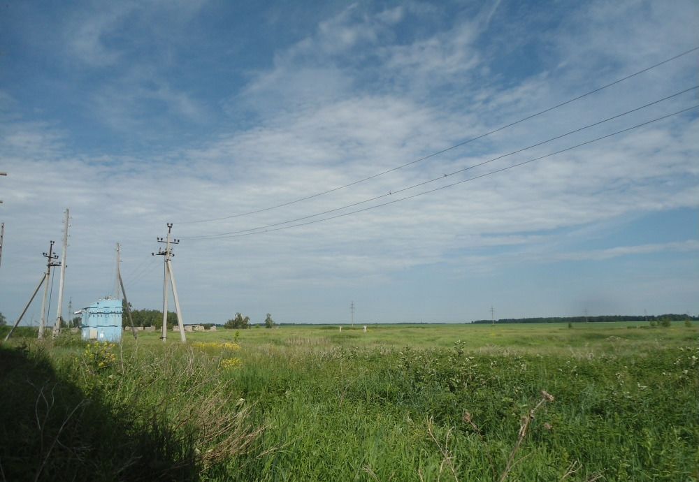 свободного назначения р-н Заводоуковский п Озерки ул Новая Заводоуковск фото 6