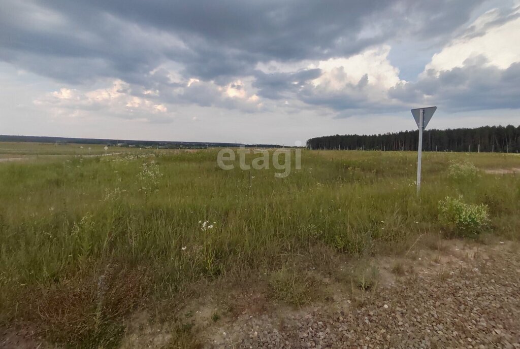 земля р-н Брянский д Дубровка Новодарковичское сельское поселение фото 4