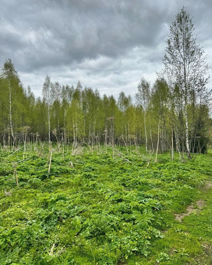 земля городской округ Дмитровский д Дмитровка 9754 км, Менделеево, Рогачёвское шоссе фото 25