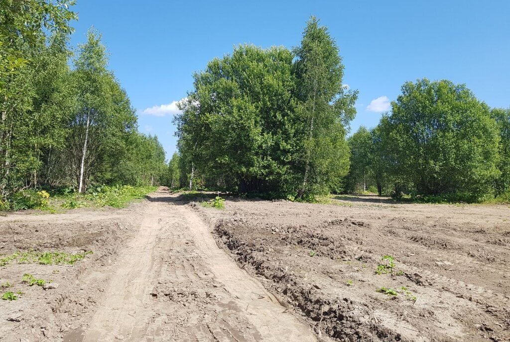 земля городской округ Рузский д Андрейково фото 24