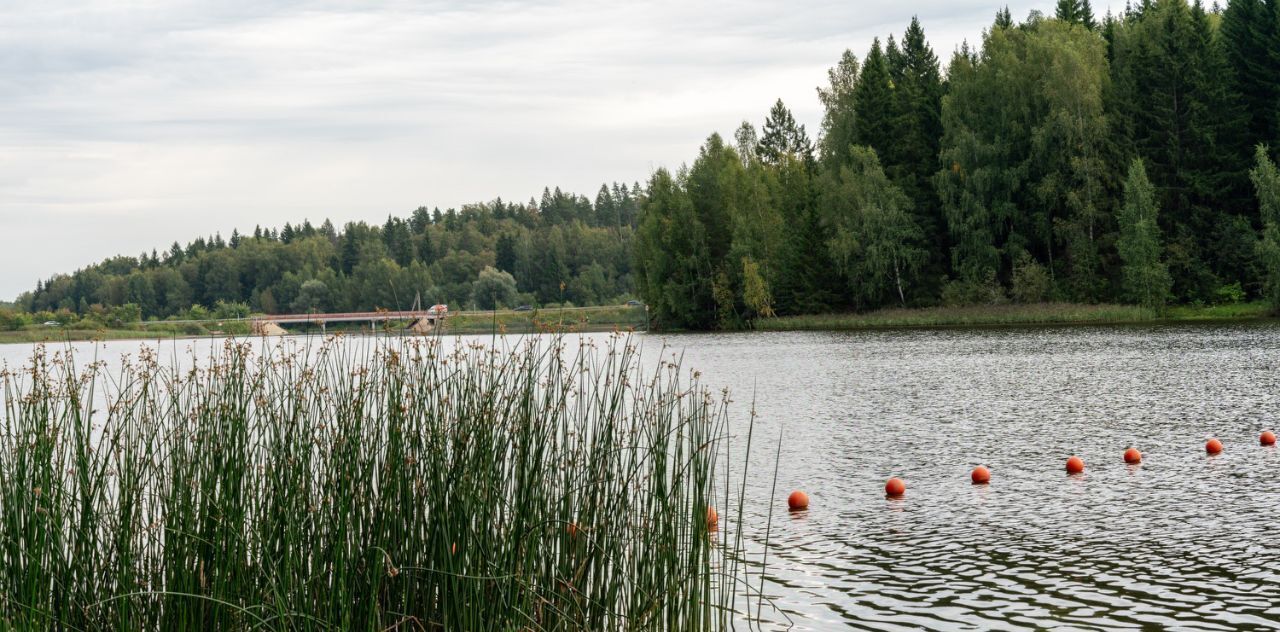 дом городской округ Солнечногорск д Полежайки аллея Удачи, 2 фото 37