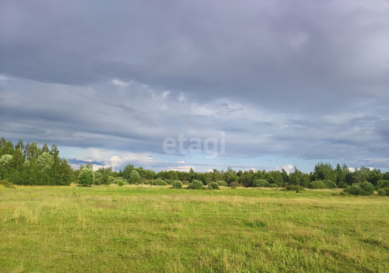 земля р-н Новгородский д Неронов Бор Ракомское сельское поселение, Великий Новгород фото 3