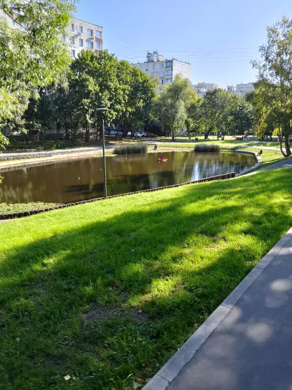 квартира г Москва метро Беляево ул Миклухо-Маклая 57 к 2, Московская область фото 7