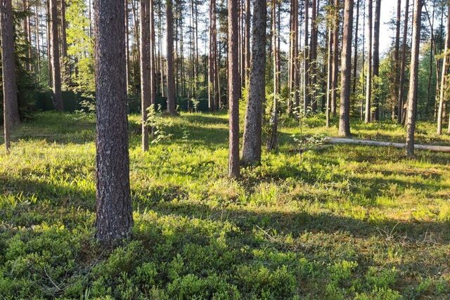 земля Старая Малукса фото