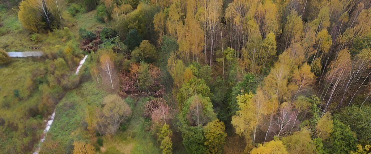 земля городской округ Волоколамский с Осташево кв-л Новый фото 2