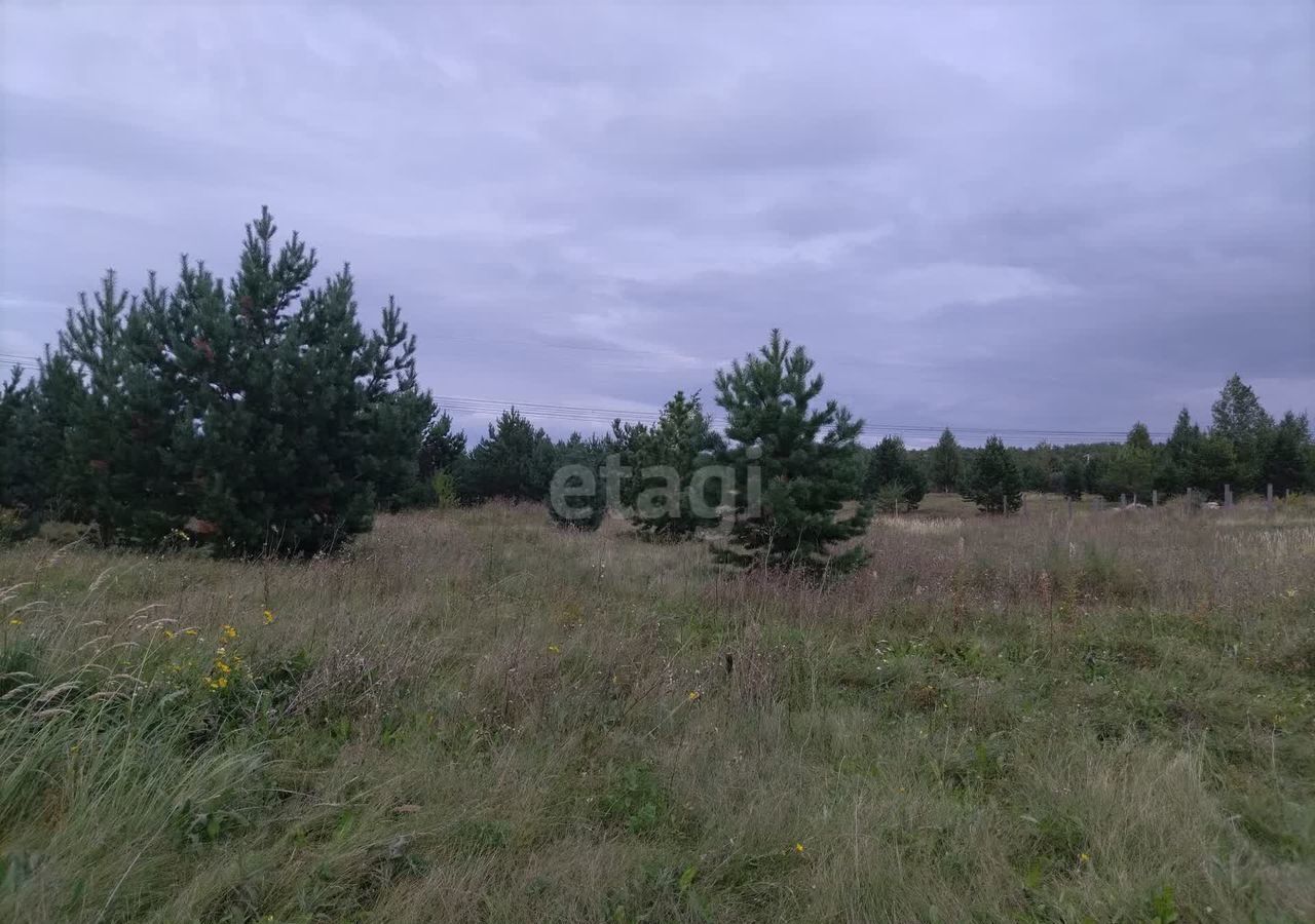 земля р-н Березовский д Киндяково сельсовет, Сосновоборск, Бархатовский фото 6