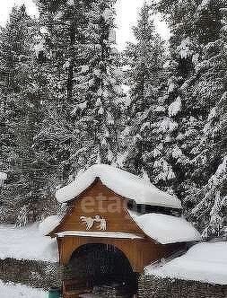 дом р-н Турочакский с Иогач ул Центральная фото 3