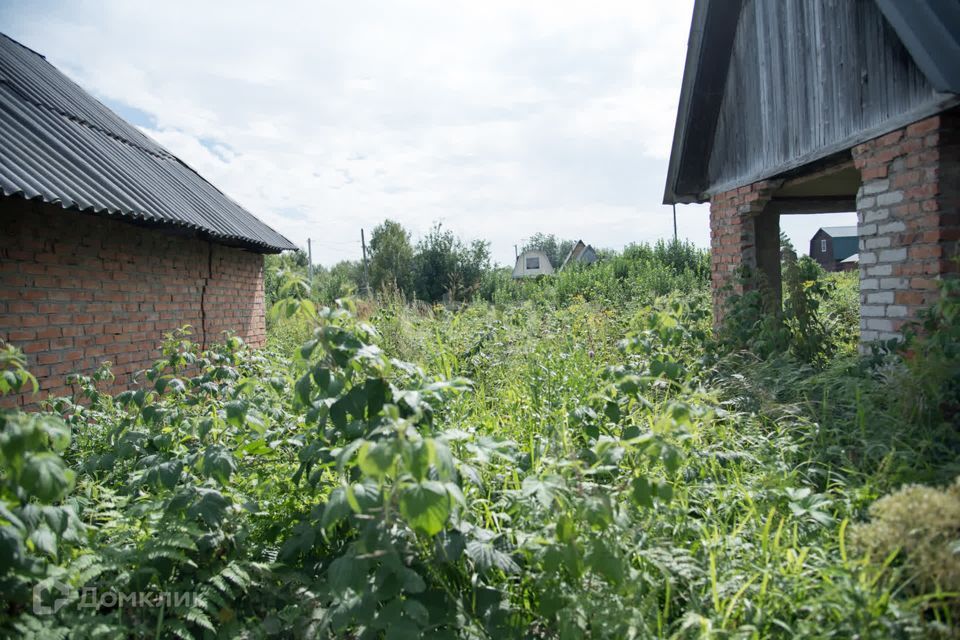 земля г Искитим городской округ Искитим, садовое товарищество Зелёный Бор фото 10