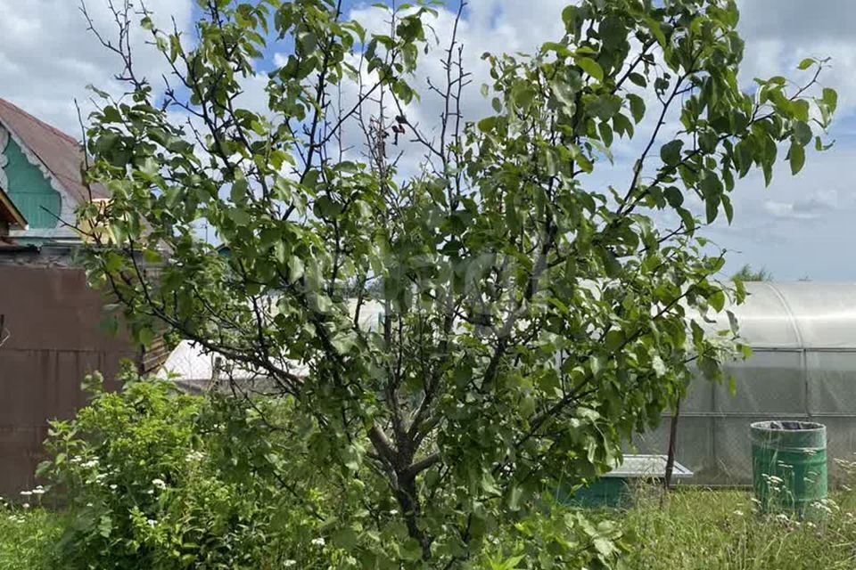 дом г Комсомольск-на-Амуре городской округ Комсомольск-на-Амуре, садоводческое некоммерческое товарищество Строитель фото 2