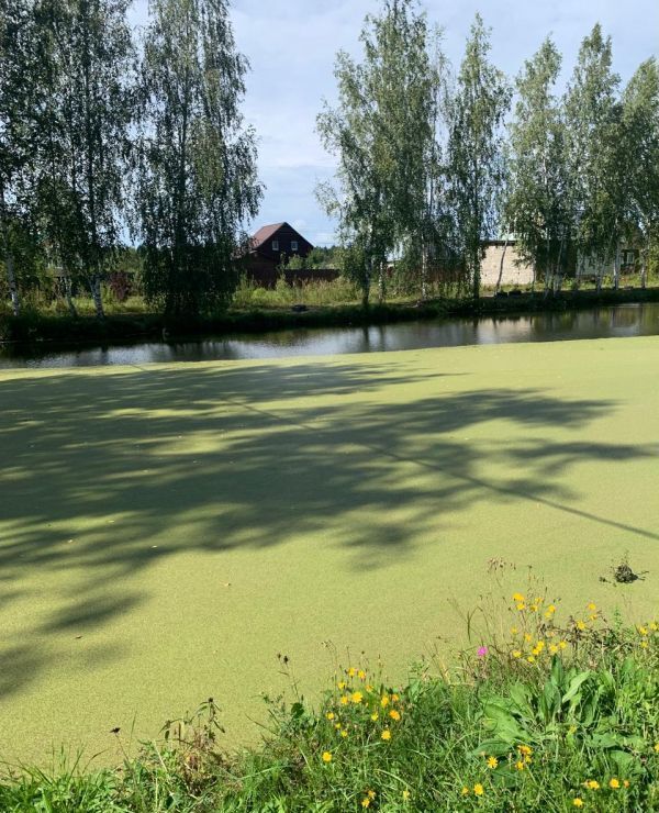 земля городской округ Сергиево-Посадский д Березняки снт Зеленые пруды 9784 км, 75, Сергиев Посад, Ярославское шоссе фото 14