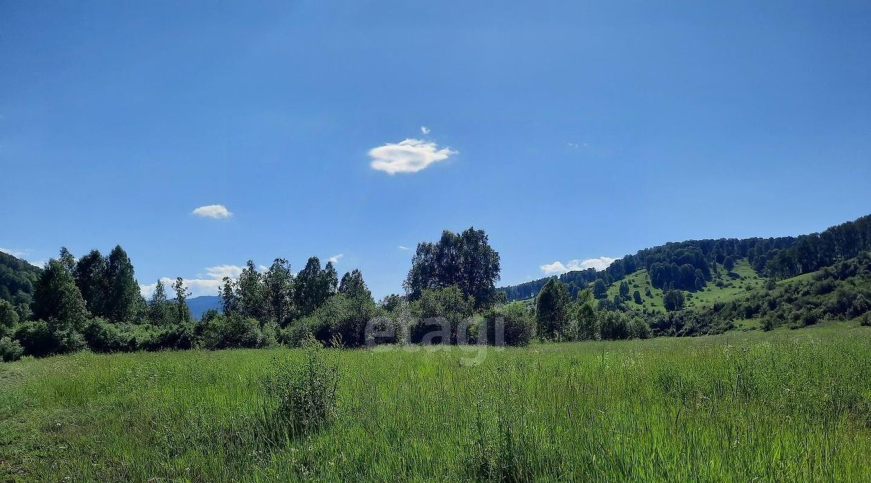 земля г Бийск фото 2