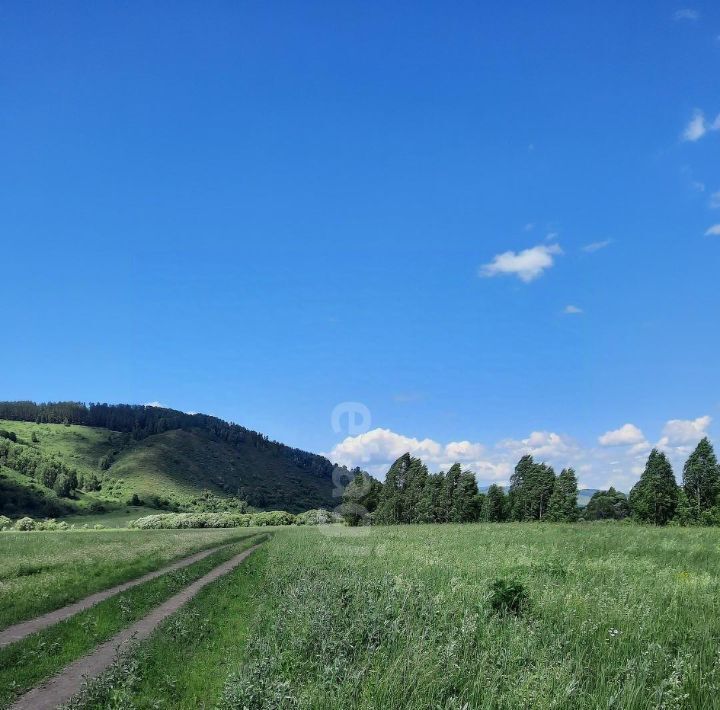 земля г Бийск фото 3