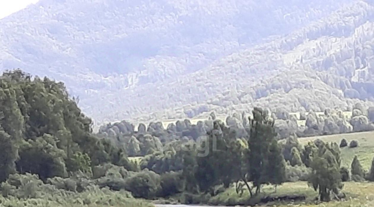 земля г Бийск фото 13