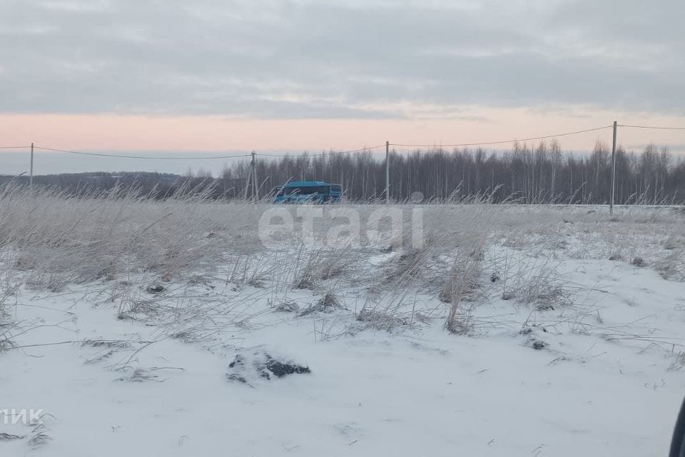 земля р-н Прокопьевский Кемеровская область — Кузбасс, посёлок Свободный фото 1