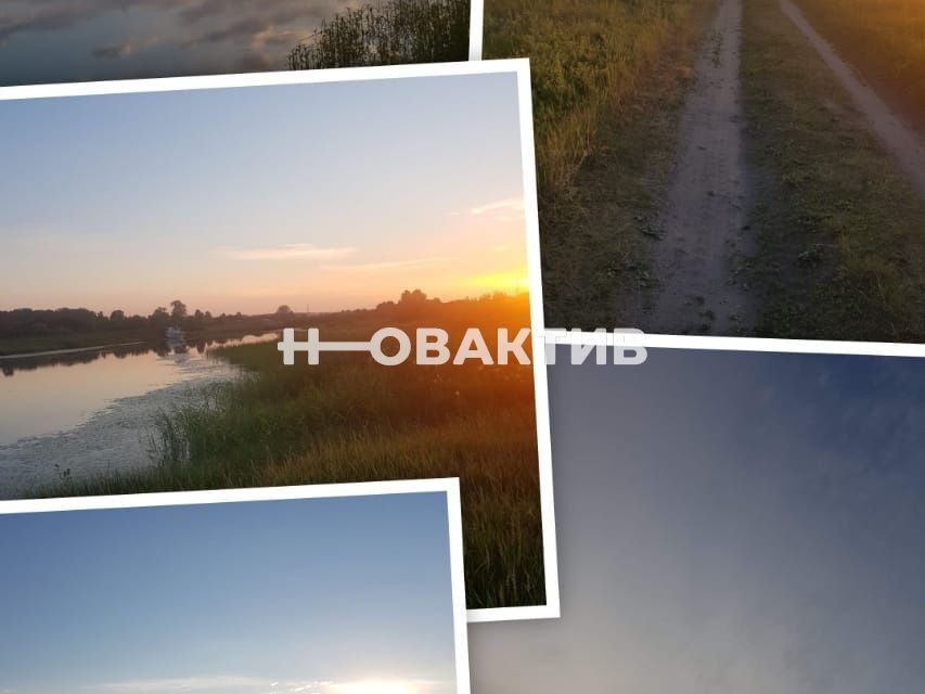 земля р-н Ордынский фото 5