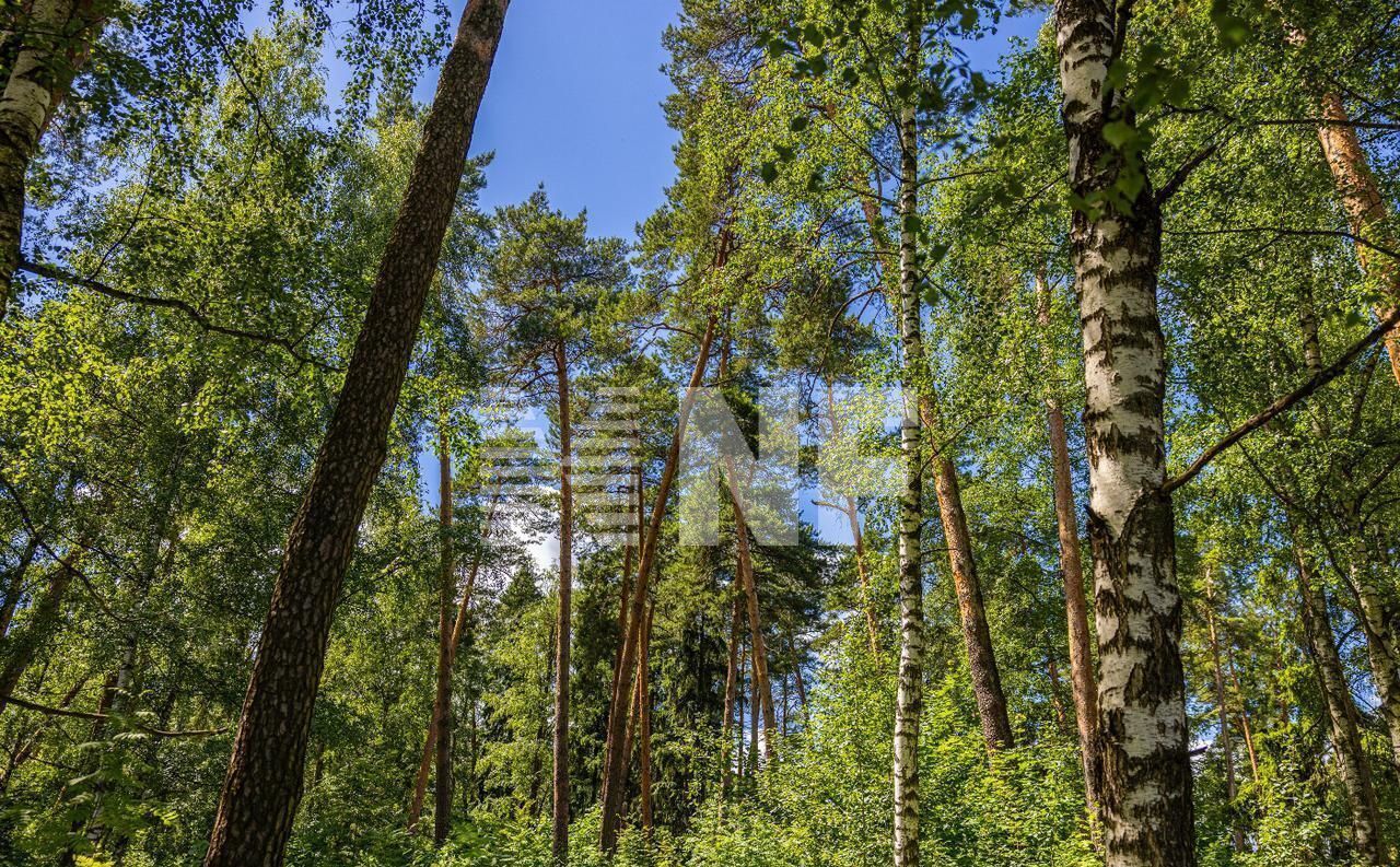 земля городской округ Красногорск с Петрово-Дальнее 9736 км, Красногорск, Рублёво-Успенское шоссе фото 12