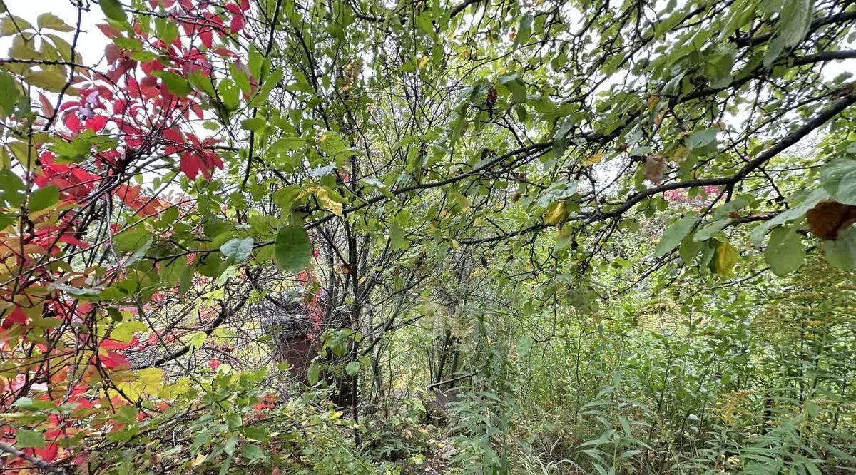 земля г Нижний Новгород р-н Нижегородский ТСН, Ракета фото 7