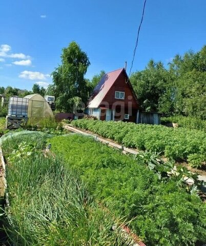 Эжвинский СНТ Калинка фото