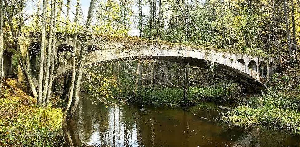 земля р-н Нестеровский фото 4