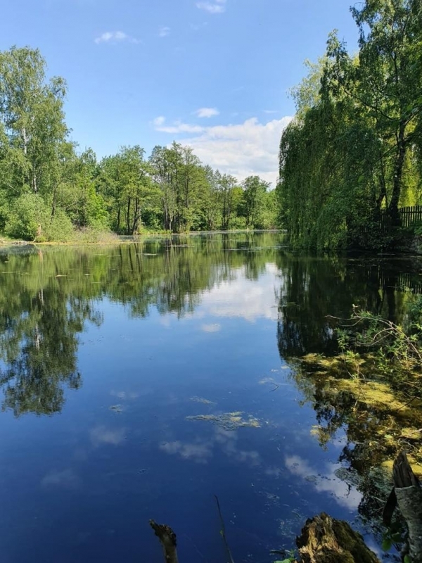 квартира г Калининград р-н Ленинградский ул Таганрогская 14 фото 10