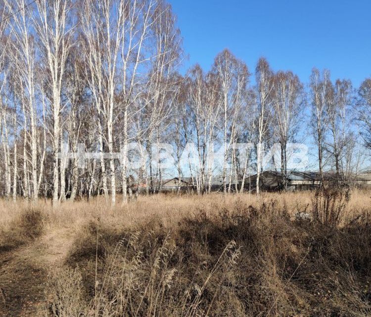 земля р-н Новосибирский п Советский ул Клубная 1 фото 1