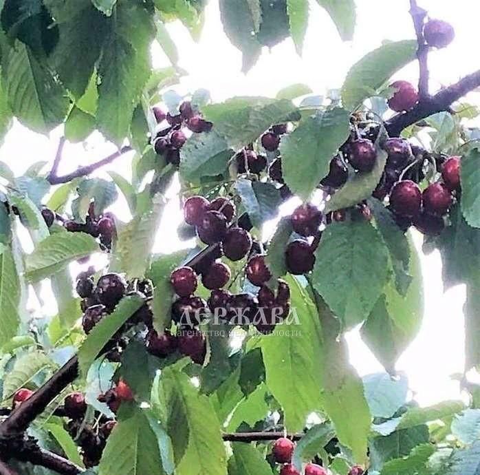 дом г Старый Оскол ул Сталеваров фото 11