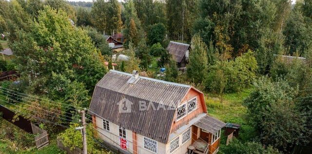 снт Заозерное Сертоловское городское поселение фото