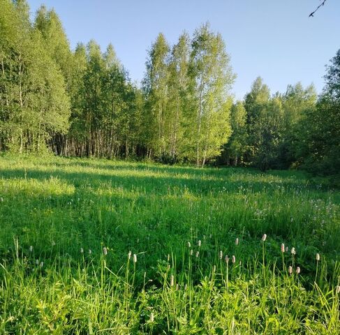 земля Краснопламенское муниципальное образование фото