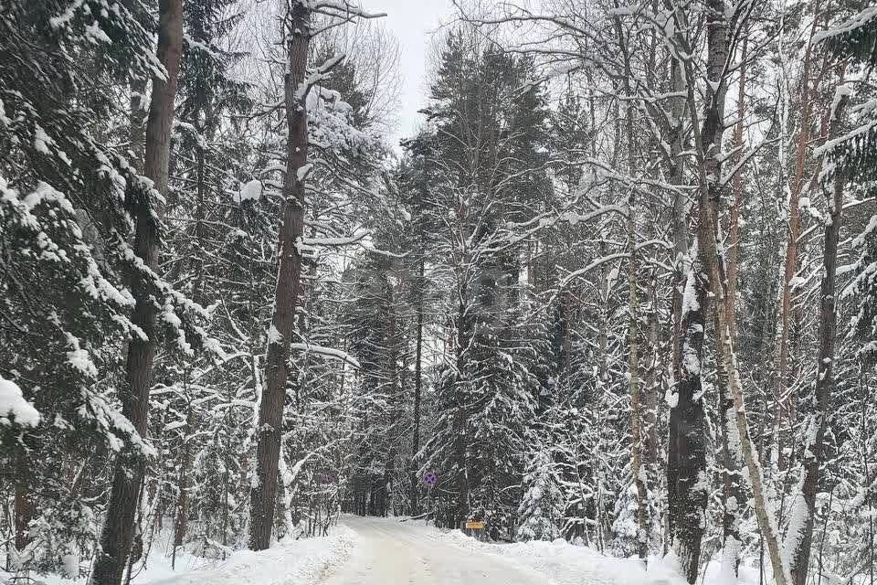 земля городской округ Богородский деревня Калитино фото 5