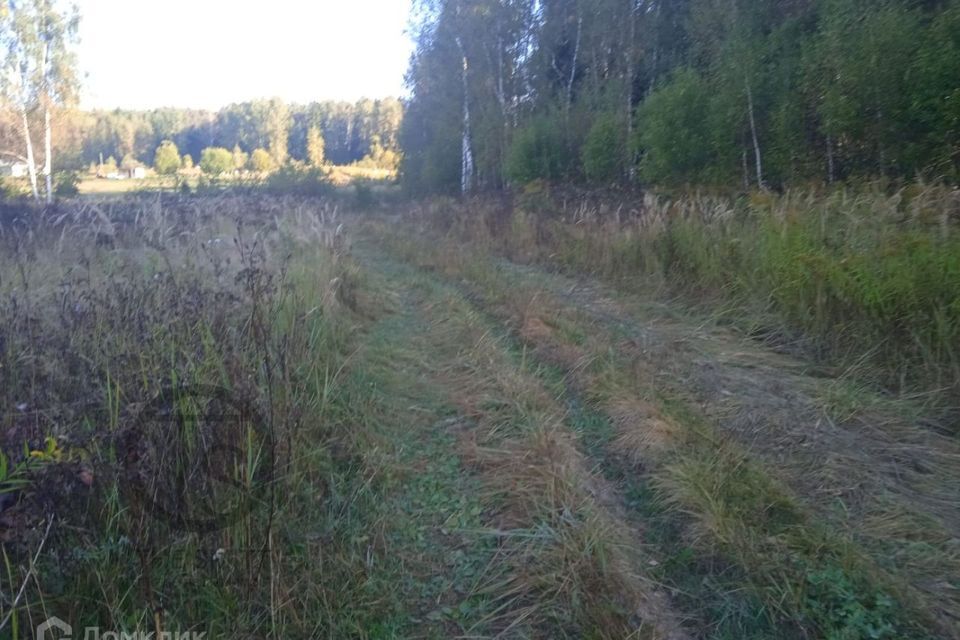 земля городской округ Мытищи деревня Долгиниха фото 9