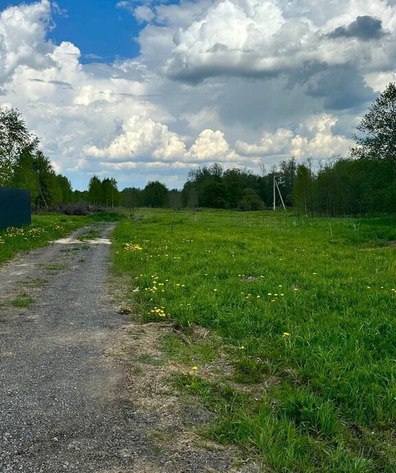 земля городской округ Наро-Фоминский д Настасьино фото 24