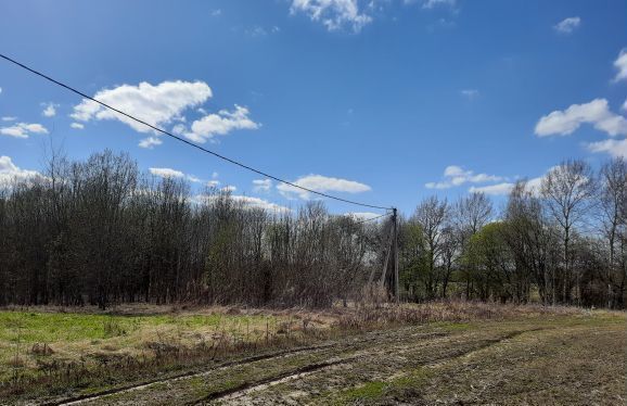 земля городской округ Дмитровский д Шабаново 9790 км, Вербилки, Дмитровское шоссе фото 5