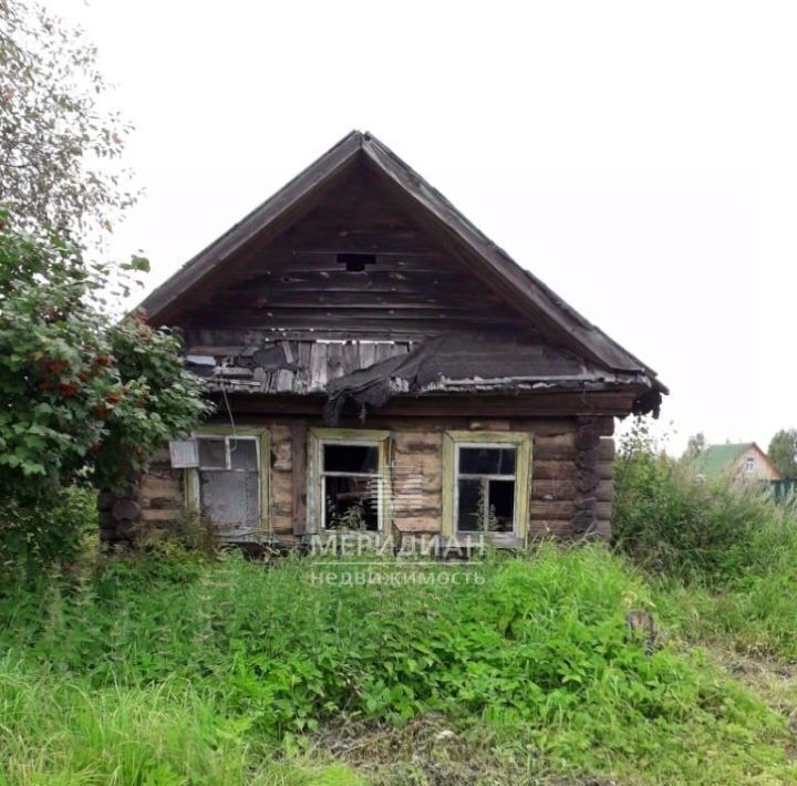 земля г Шахунья д Туманино Бор городской округ фото 1