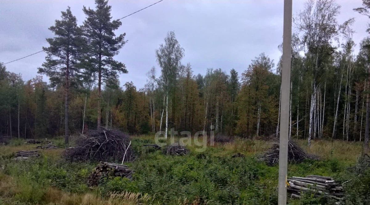 земля г Березовский снт Дачник фото 1