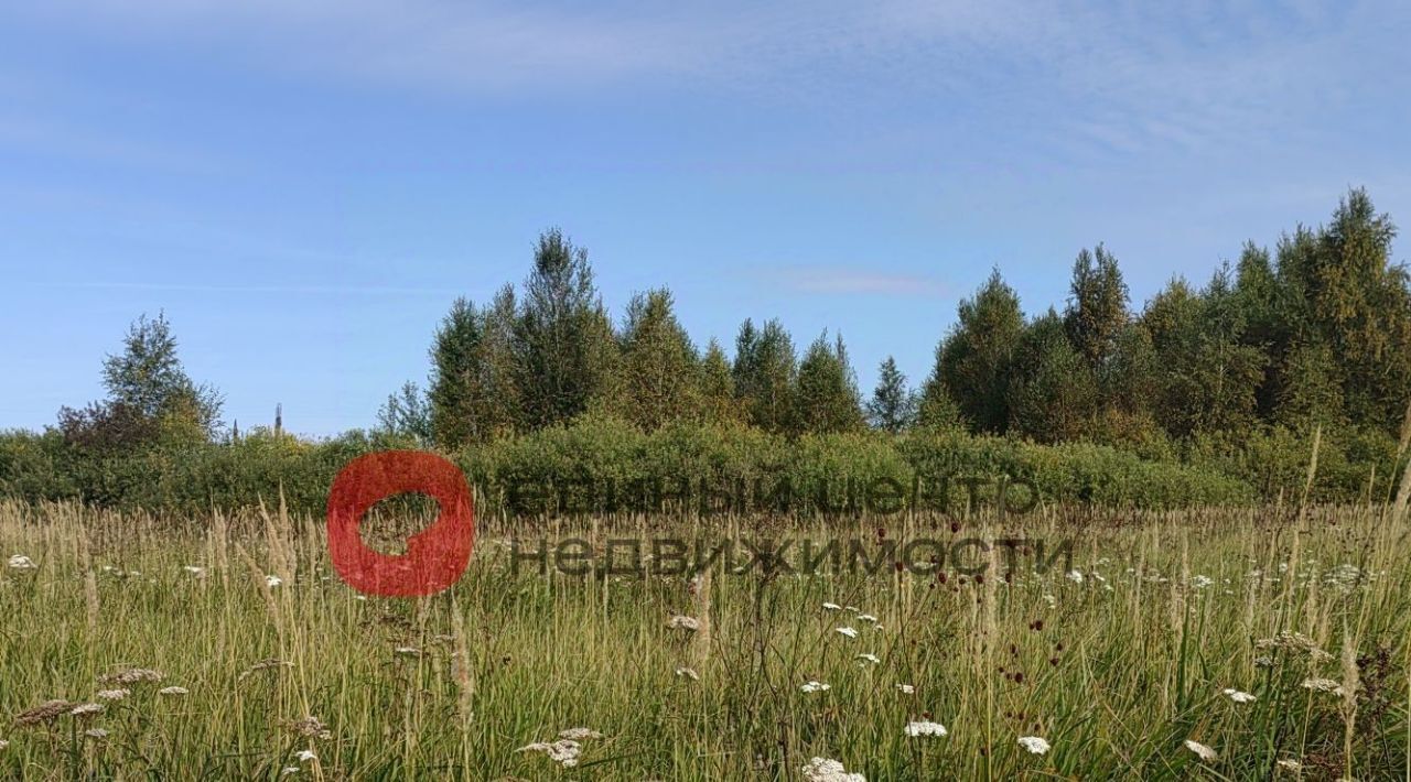 земля г Тюмень р-н Ленинский СОСН Агросад-Тюмень тер., 2-я линия, 104 фото 3