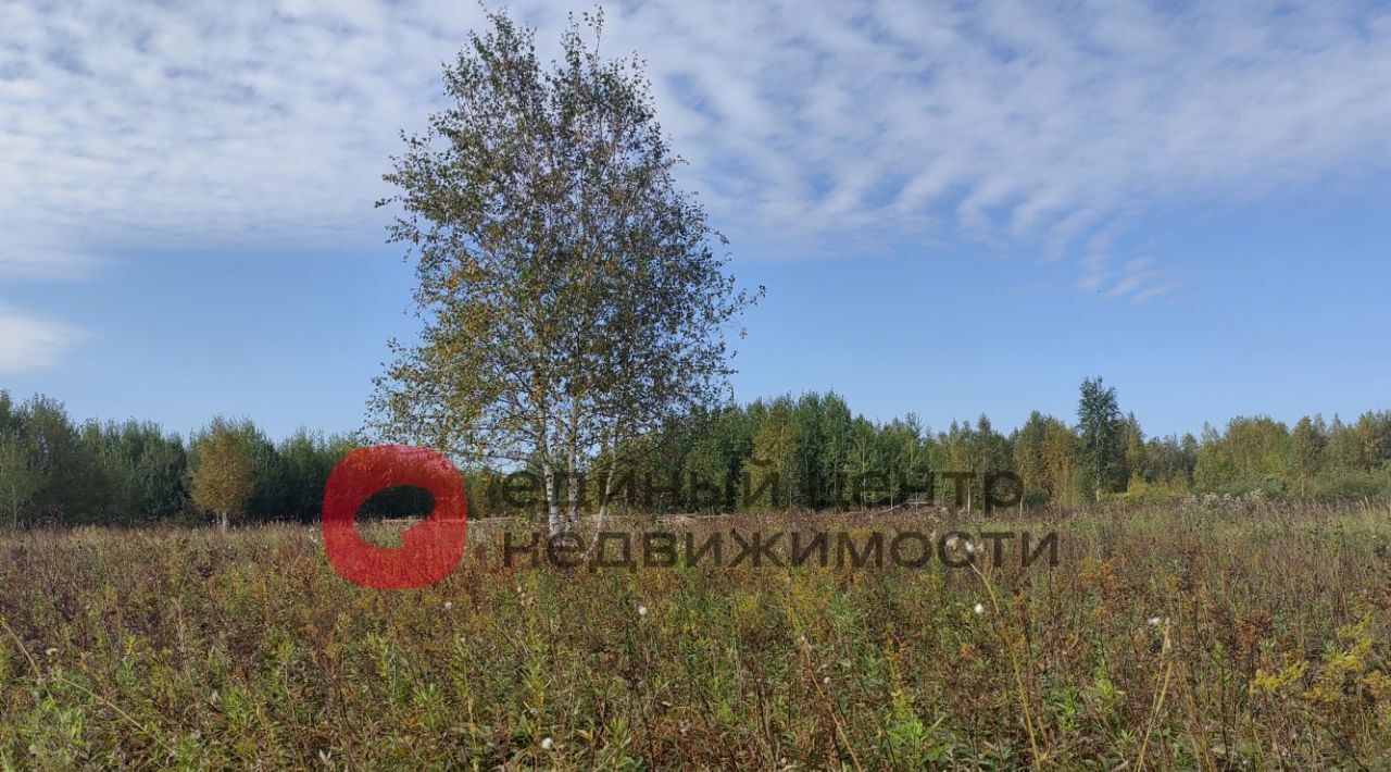земля г Тюмень р-н Ленинский СОСН Агросад-Тюмень тер., 2-я линия, 104 фото 15