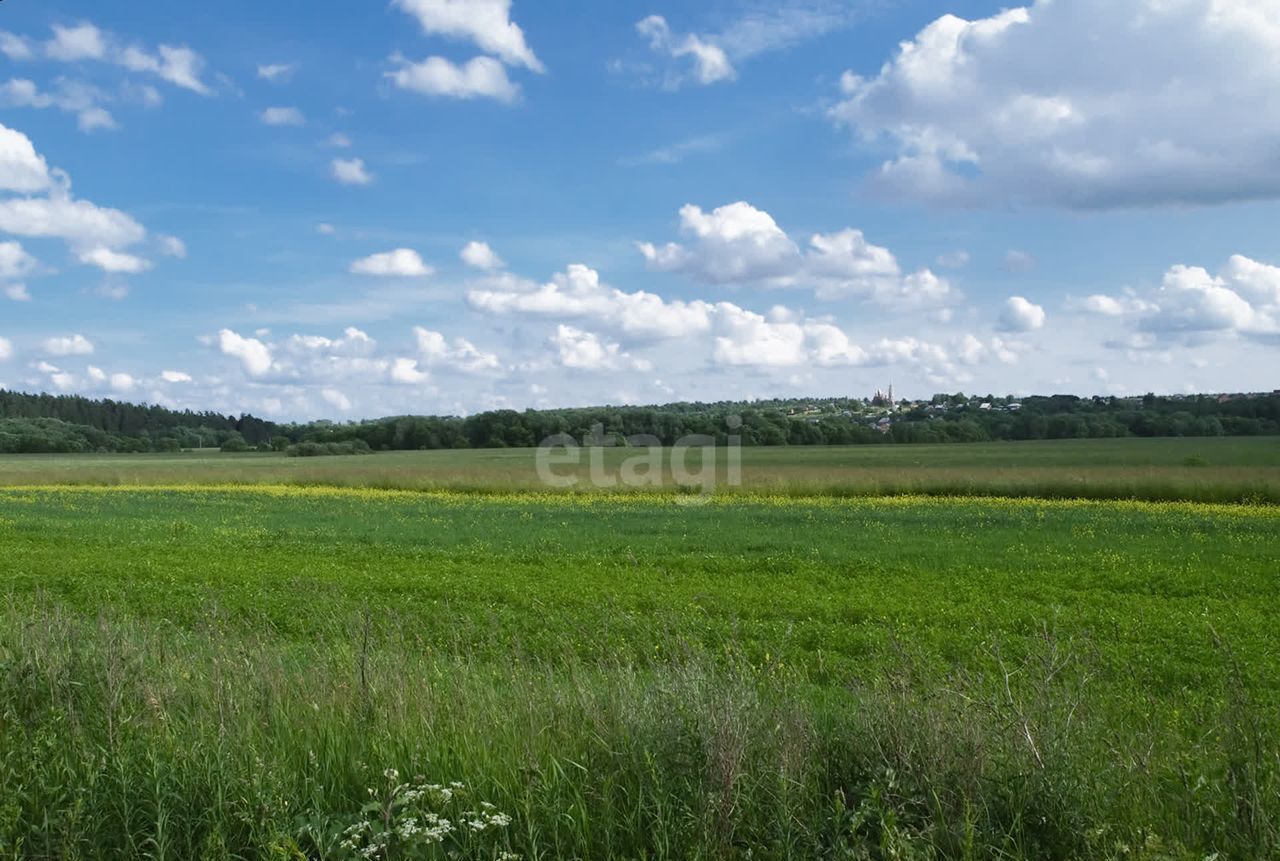 земля г Первомайск с Успенское Шатки фото 1