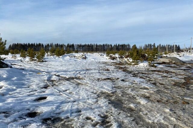 земля Садоводческое общество Лесное, Тюменский район фото