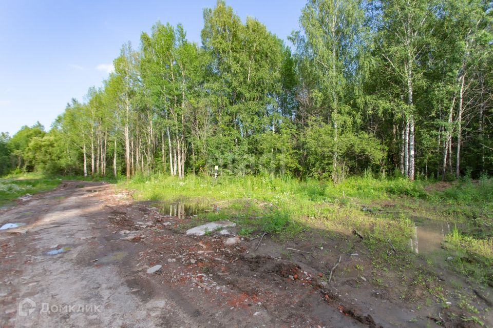 земля г Тобольск Центральная улица, городской округ Тобольск фото 2