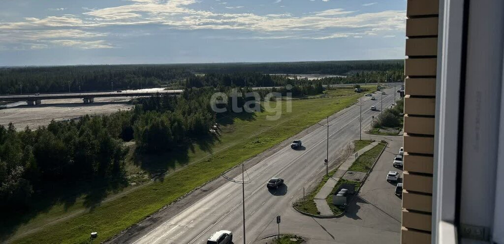 квартира г Новый Уренгой Северная жилая часть мкр Дружба 4/1 фото 14