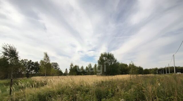 городской округ Коломенский с Федосьино Коломна городской округ фото