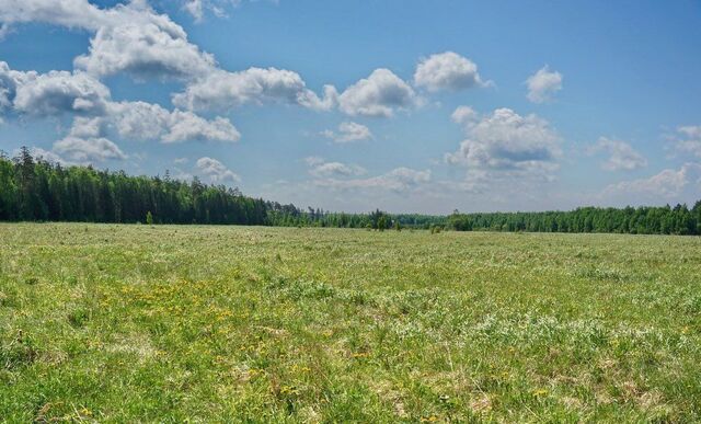 земля с Новошипуново ул Набережная Новошипуновский сельсовет, Краснощёково фото