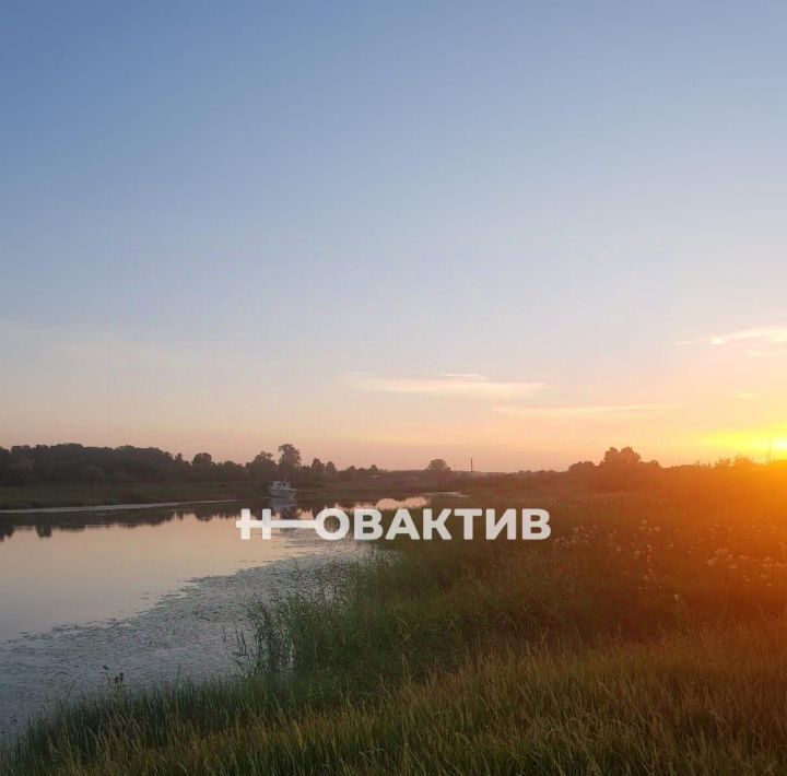 земля р-н Ордынский Шараповское ДНТ, ул. Полевая, 3 фото 1