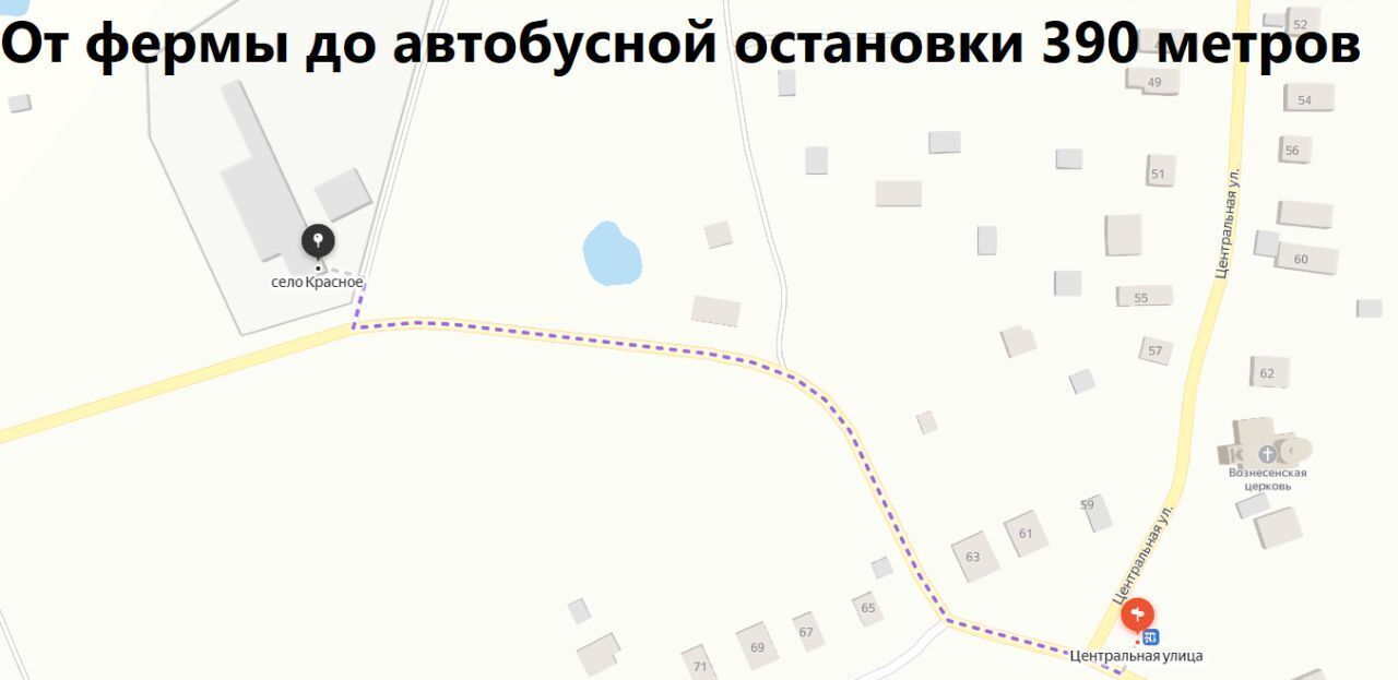 дом р-н Переславский с Красное ул Центральная 126 Переславль-Залесский городской округ фото 46