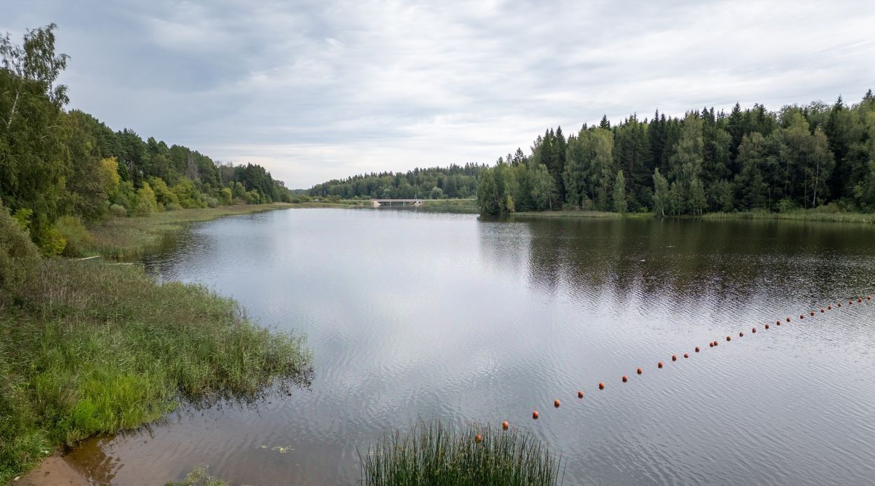 дом городской округ Солнечногорск д Полежайки ул. Мечтателей, 10 фото 35