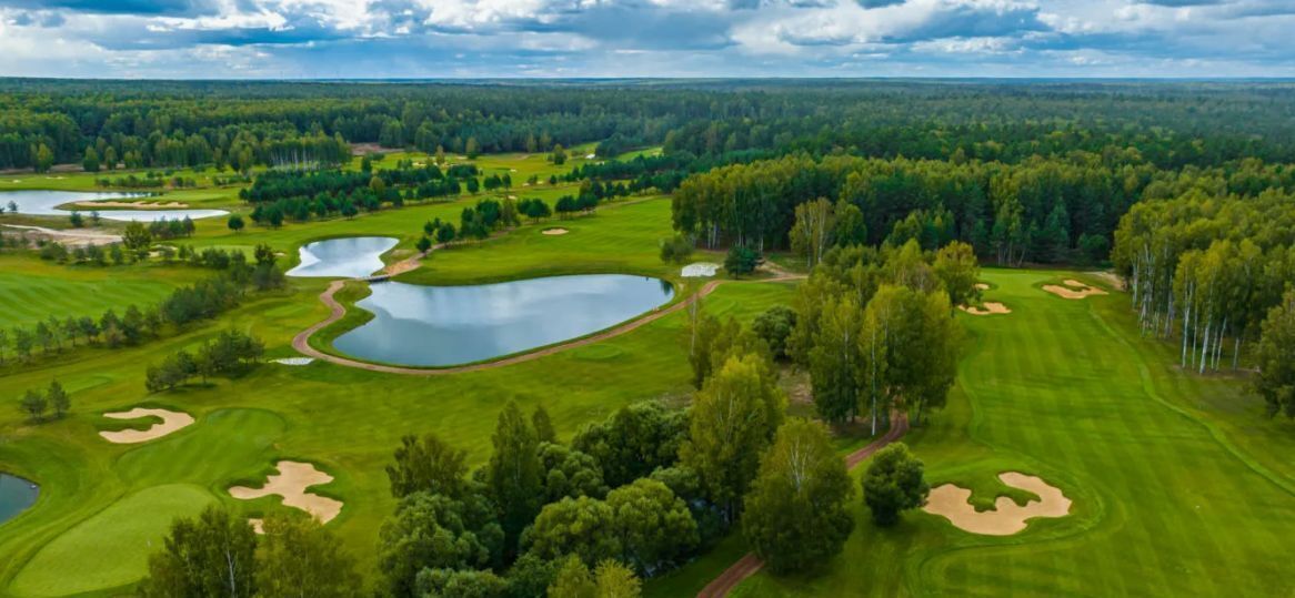 земля городской округ Истра д Дуплёво снт Лесное Нахабино, 105 фото 4