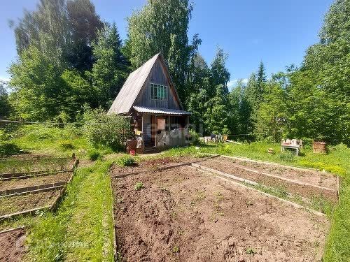 городской округ Сыктывкар, СНТ Дубрава фото