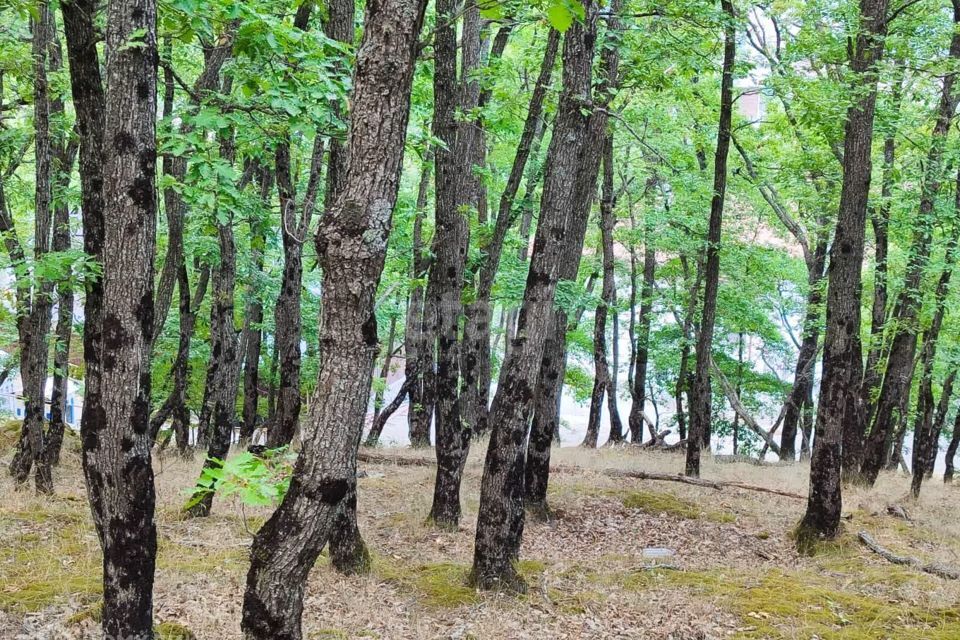 земля городской округ Ялта, посёлок городского типа Виноградное фото 10