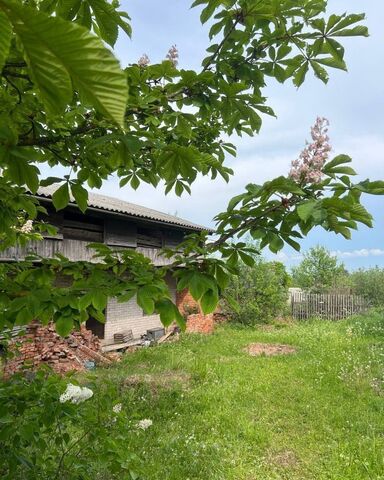 земля Савинское сельское поселение, Деревня, Новгородская ул., 4, Новгородский р-н, Великий Новгород, д. Новая фото